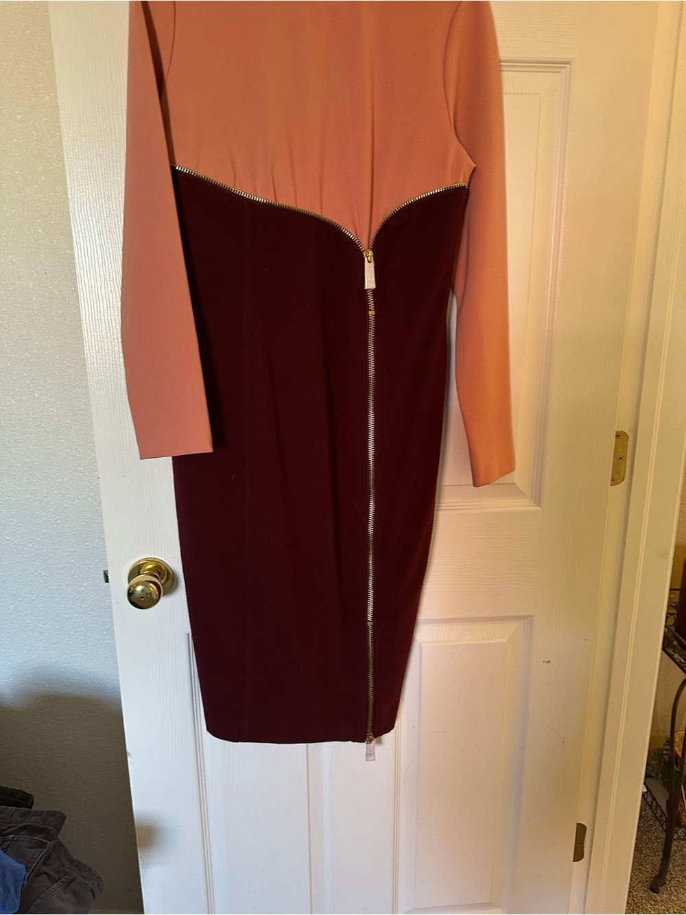 Two-Tone Pink and Burgundy Zipped Sheath Dress